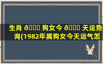 生肖 🍀 狗女今 🐟 天运势查询(1982年属狗女今天运气怎么样)